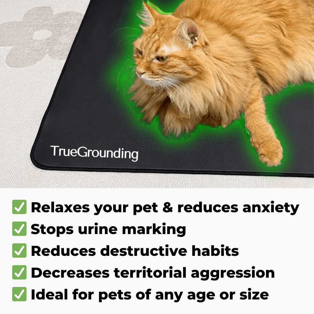 TrueGrounding™ Haustiermatte